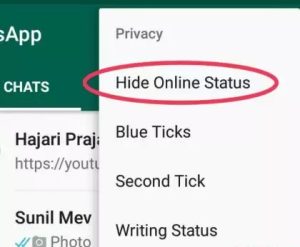 Hide Online Status