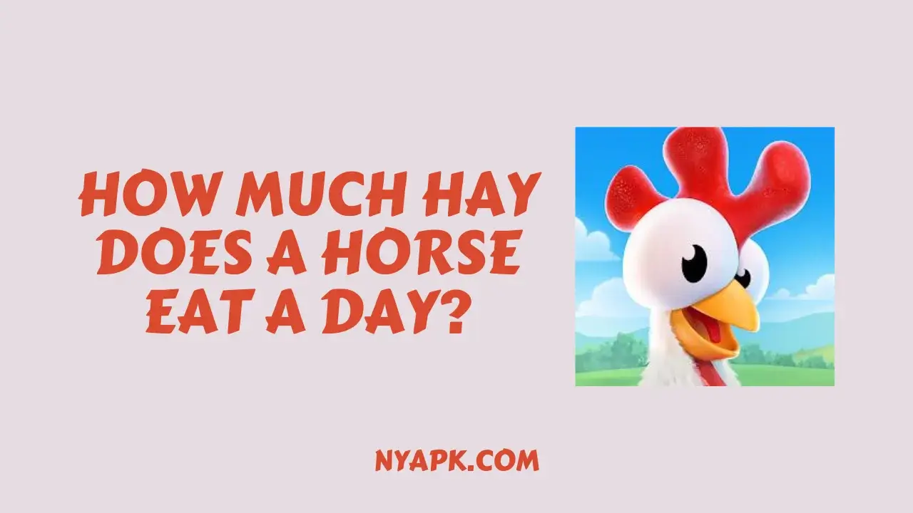 How Much Hay Does a Horse Eat a Day